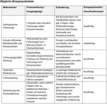 Einsparpot. Fuhrpark